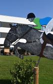 Туры в отель Brit Hotel - Hotel de l'Hippodrome Туры в отель Brit Hotel - Hotel de l'Hippodrome
