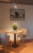 Туры в отель Brit Hotel - Hotel de l'Hippodrome Туры в отель Brit Hotel - Hotel de l'Hippodrome