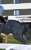 Туры в отель Brit Hotel - Hotel de l'Hippodrome Туры в отель Brit Hotel - Hotel de l'Hippodrome