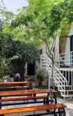 Туры в отель Areca Bungalow Туры в отель Areca Bungalow