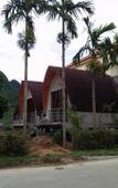 Туры в отель Areca Bungalow Туры в отель Areca Bungalow