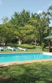 Туры в отель Meru View Lodge Туры в отель Meru View Lodge