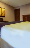 Туры в отель Capital O Hotel Diro, Monterrey Туры в отель Capital O Hotel Diro, Monterrey