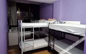 Туры в отель The Purple Tree Hostel Туры в отель The Purple Tree Hostel