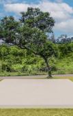 Туры в отель Gateway Coorg Туры в отель Gateway Coorg