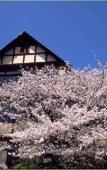 Туры в отель Daiwa Roynet Hotel Kobe Sannomiya Туры в отель Daiwa Roynet Hotel Kobe Sannomiya