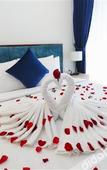 Туры в отель Sandals Flora Hotel Туры в отель Sandals Flora Hotel
