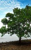 Туры в отель Long Sands Port Dickson Туры в отель Long Sands Port Dickson