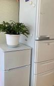 Туры в отель Guest House en Туры в отель Guest House en