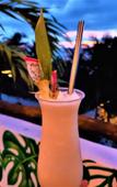 Туры в отель HOTEL MITTOZ HOLBOX Туры в отель HOTEL MITTOZ HOLBOX