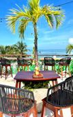 Туры в отель HOTEL MITTOZ HOLBOX Туры в отель HOTEL MITTOZ HOLBOX
