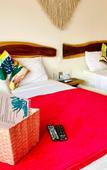 Туры в отель HOTEL MITTOZ HOLBOX Туры в отель HOTEL MITTOZ HOLBOX