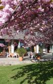 Туры в отель Hotel am Sachsengang Туры в отель Hotel am Sachsengang