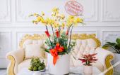 Туры в отель Thuan Phat Hotel Туры в отель Thuan Phat Hotel