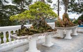Туры в отель Dream Boutique Hotel Da Lat Туры в отель Dream Boutique Hotel Da Lat