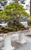 Туры в отель Dream Boutique Hotel Da Lat Туры в отель Dream Boutique Hotel Da Lat