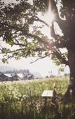 Туры в отель Krallerhof Туры в отель Krallerhof