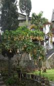 Туры в отель Toledo Inn Туры в отель Toledo Inn