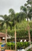Туры в отель Du-sila Hotel Kohchang Туры в отель Du-sila Hotel Kohchang
