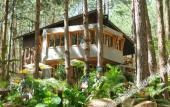 Туры в отель Mo Stay Forest Resort Туры в отель Mo Stay Forest Resort