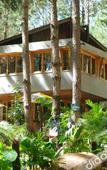 Туры в отель Mo Stay Forest Resort Туры в отель Mo Stay Forest Resort