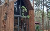 Туры в отель Mo Stay Forest Resort Туры в отель Mo Stay Forest Resort