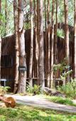 Туры в отель Mo Stay Forest Resort Туры в отель Mo Stay Forest Resort