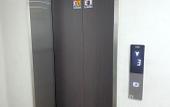 Туры в отель Hotel Ivory Туры в отель Hotel Ivory