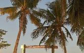 Туры в отель On Board Panglao Beach Hostel and Resort Туры в отель On Board Panglao Beach Hostel and Resort