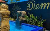 Туры в отель Carpe Diem Villas & Resort Туры в отель Carpe Diem Villas & Resort