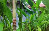 Туры в отель Carpe Diem Villas & Resort Туры в отель Carpe Diem Villas & Resort