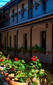 Туры в отель Hoteles del Sur Туры в отель Hoteles del Sur