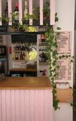 Туры в отель Banana Garden La Palma Туры в отель Banana Garden La Palma