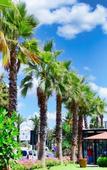 Туры в отель Miranda Hotel Туры в отель Miranda Hotel
