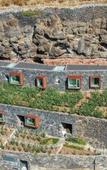 Туры в отель Socalco Nature Calheta Туры в отель Socalco Nature Calheta