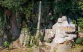 Туры в отель Fivitel Cong Troi Dong Giang Туры в отель Fivitel Cong Troi Dong Giang