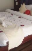 Туры в отель Hotel Le Halcyon Туры в отель Hotel Le Halcyon