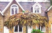 Туры в отель Ninh Binh Sona Resort Туры в отель Ninh Binh Sona Resort