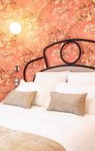 Туры в отель Hotel des Iris Туры в отель Hotel des Iris