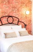 Туры в отель Hotel des Iris Туры в отель Hotel des Iris