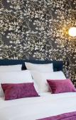 Туры в отель Hotel des Iris Туры в отель Hotel des Iris
