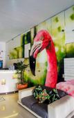 Туры в отель Hotel Tropicus Boutique Туры в отель Hotel Tropicus Boutique