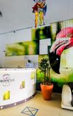 Туры в отель Hotel Tropicus Boutique Туры в отель Hotel Tropicus Boutique