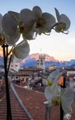 Туры в отель Torrione Trento Туры в отель Torrione Trento