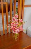 Туры в отель MT Collection Hotel Туры в отель MT Collection Hotel