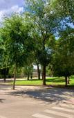 Туры в отель La Perla de Lujo - Hostel Туры в отель La Perla de Lujo - Hostel