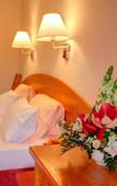Туры в отель Park Hotel Pruhonice Туры в отель Park Hotel Pruhonice