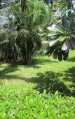 Туры в отель JoysVilla Family Holiday Home Туры в отель JoysVilla Family Holiday Home
