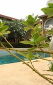 Туры в отель JoysVilla Family Holiday Home Туры в отель JoysVilla Family Holiday Home