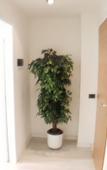 Туры в отель Residence Bonomelli Туры в отель Residence Bonomelli
